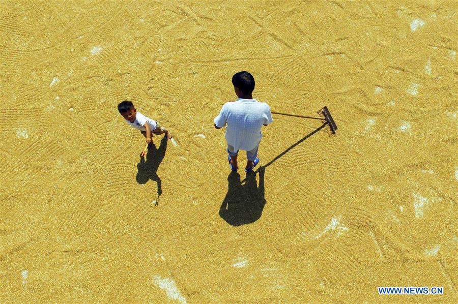 #CHINA-HEBEI-FARM WORK (CN)