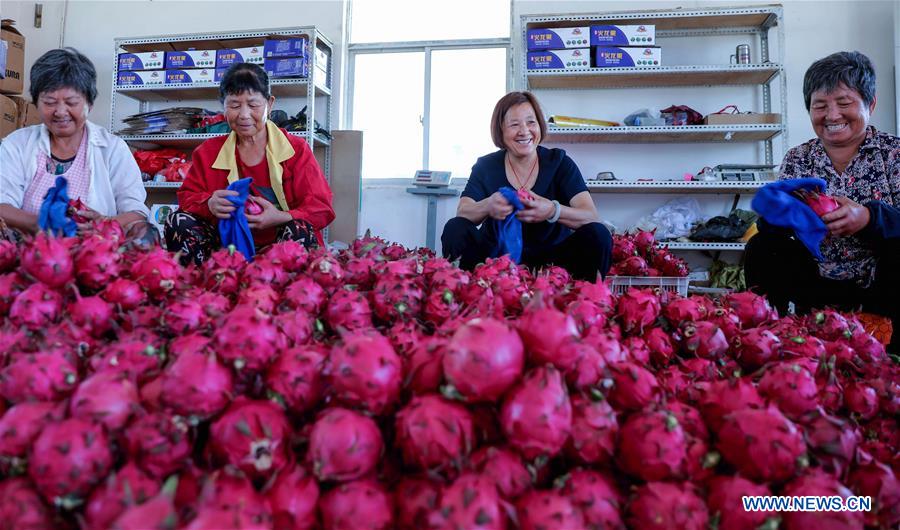 CHINA-ZHEJIANG-CHANGXING-POVERTY ALLEVIATION (CN)