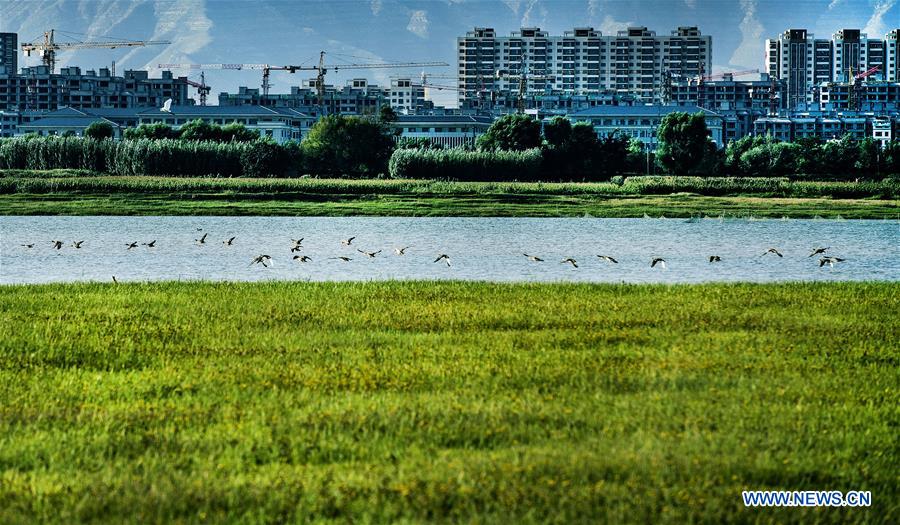 CHINA-SHANXI-HULIUHE WETLAND-SCENERY (CN)