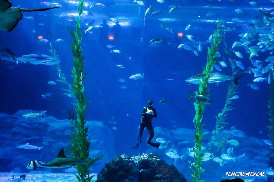 SOUTH KOREA-JEJU ISLAND-AQUA PLANET