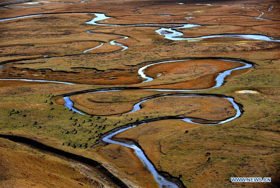 CHINA-CLIMATE CHANGE-GREEN DRIVE(CN)