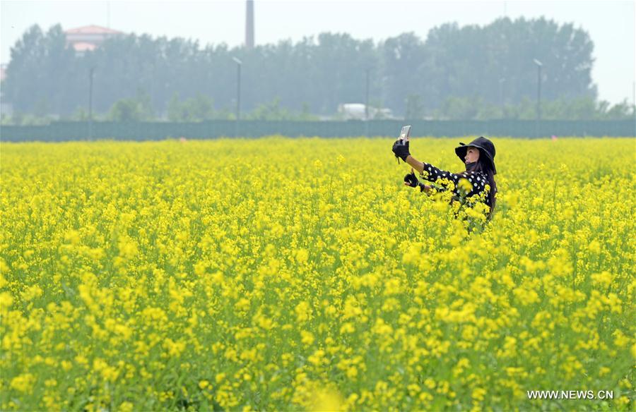 CHINA-SHENYANG-COLE FLOWERS(CN)