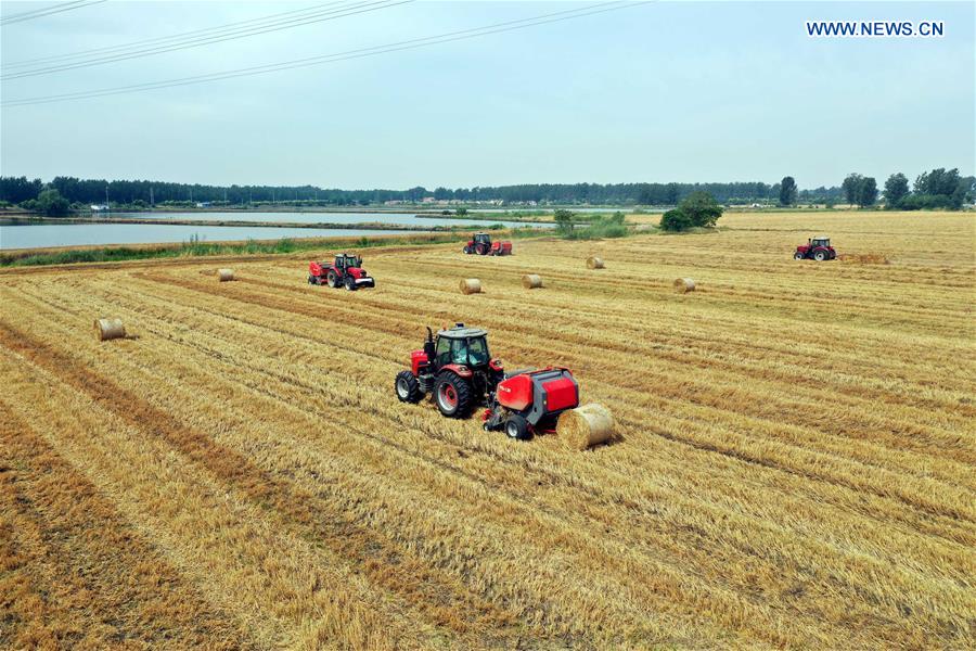#CHINA-WHEAT STRAW-RECYCLING (CN)