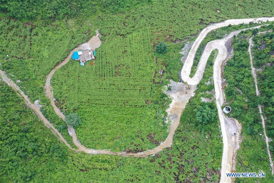 CHINA-GUANGXI-DU'AN-GRAPES-ECONOMY (CN)