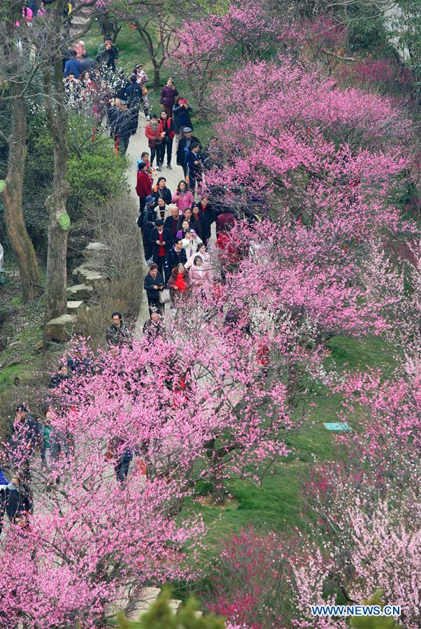 #CHINA-SPRING-SCENERY (CN)