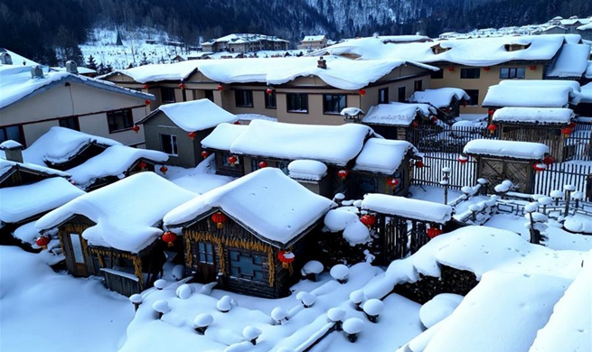 Snow scenery in Shuangfeng Forest Farm in Heilongjiang attracts visitors