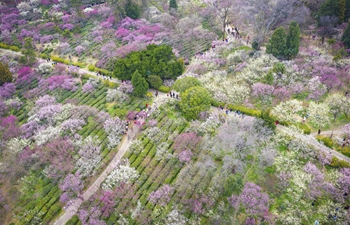 Tourists enjoy scenery of flowers in blossom in China's Jiangsu Province