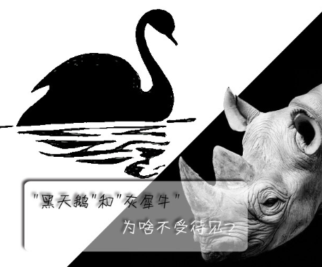 "黑天鵝"和"灰犀牛"為啥不受待見？