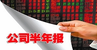 2013上市公司半年報