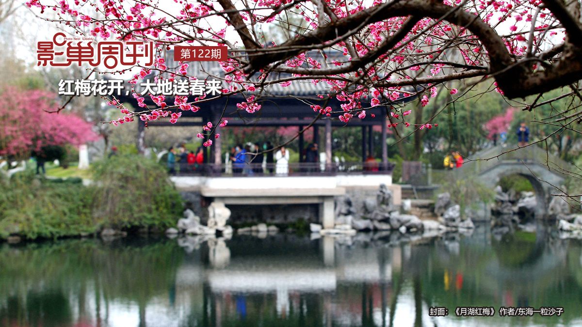 【影巢周刊】紅梅花開(kāi)，大地送春來(lái)
