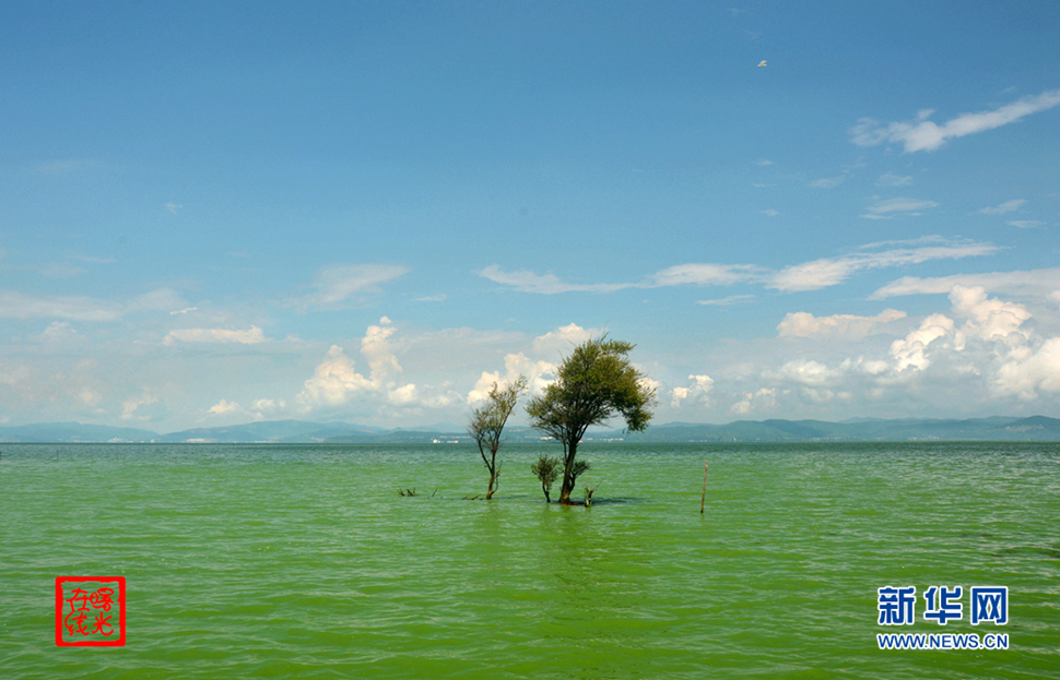 陽(yáng)光昆明，爽爽的春城