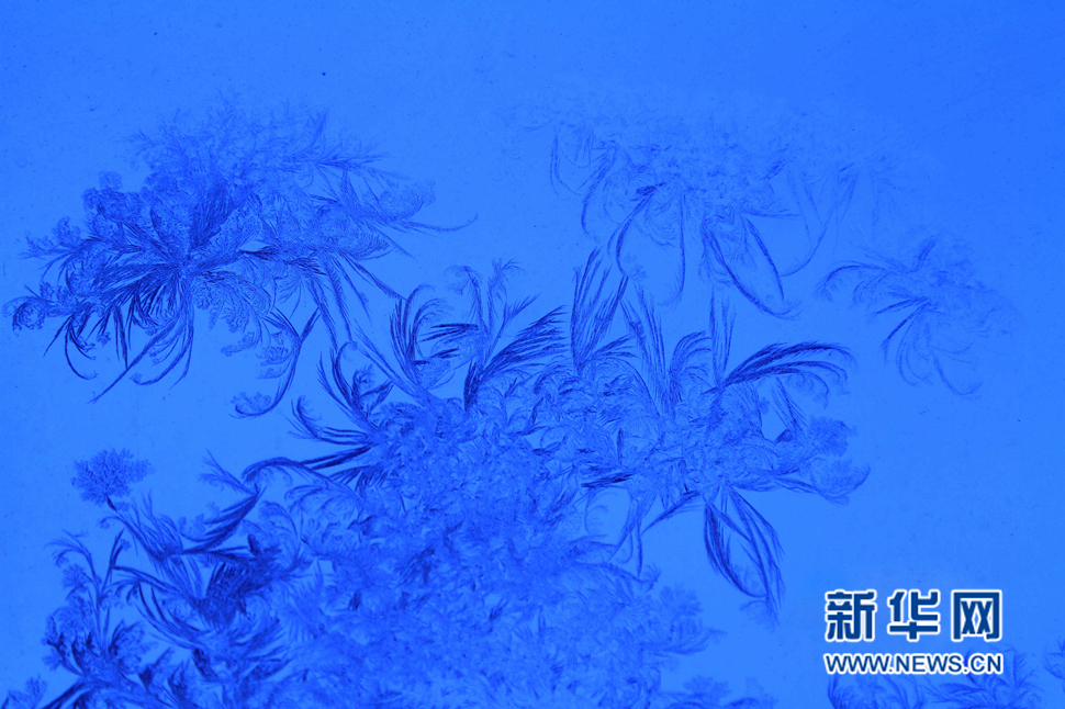 忽如一夜寒冬來，千家萬戶窗花開