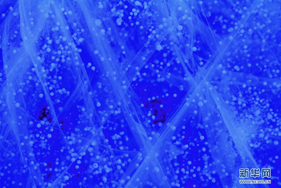 氣泡冰亮晶晶，藍(lán)精靈賽繁星