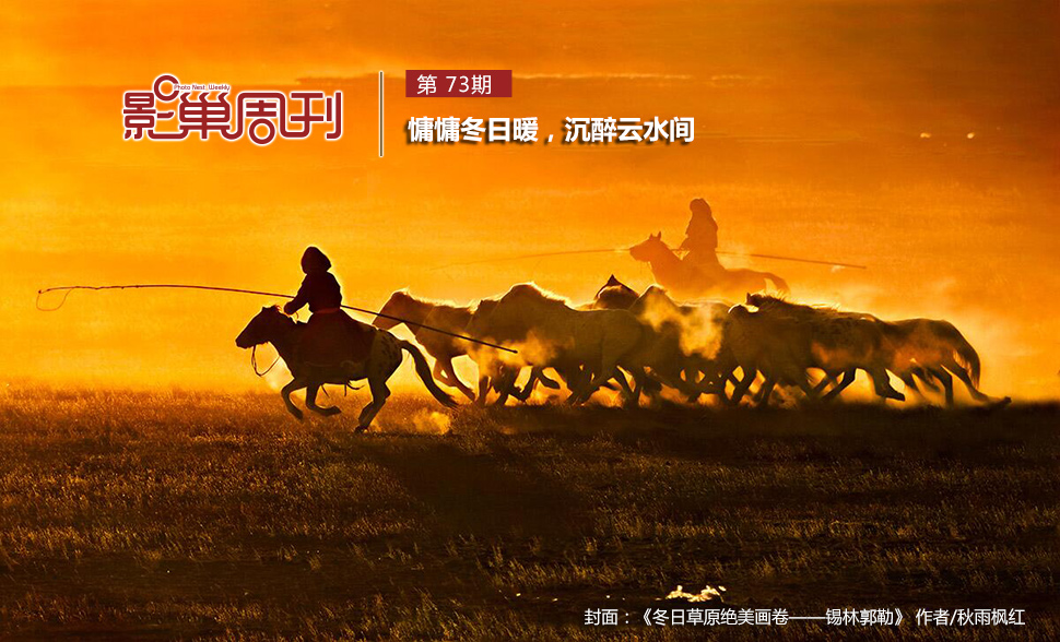 冬日草原絕美畫卷——錫林郭勒