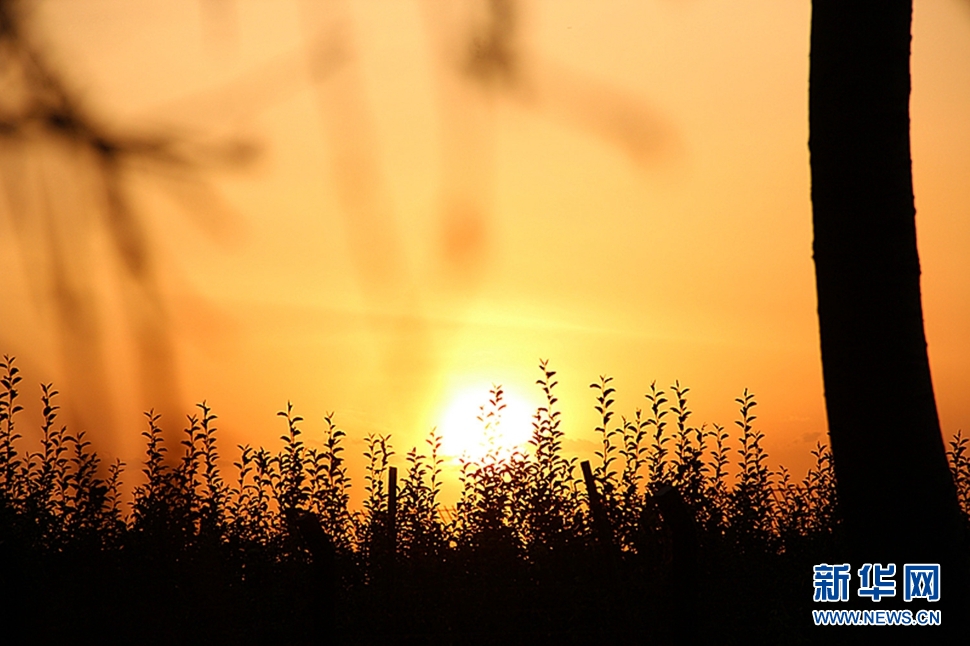 日落西山頭，人約黃昏后