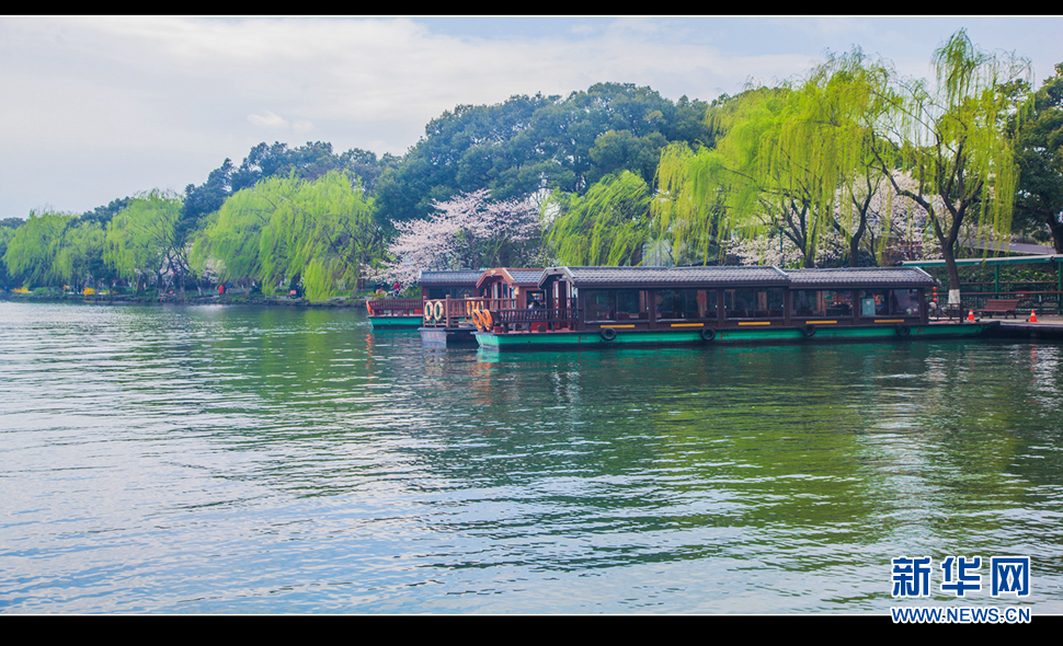 聽風(fēng)西湖柳，聞香龍井茶