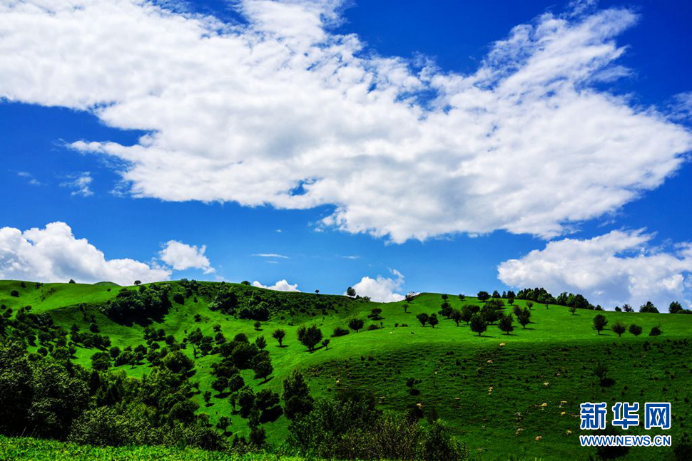 空中花園——那拉提大草原
