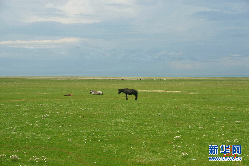 高原放歌之那山、那寺、那朵云