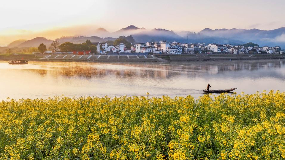 鏡觀中國(guó)丨立生態(tài)環(huán)境法典 譜美麗中國(guó)新篇