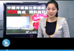 權威聲音：&ldquo;快時代&rdquo;究竟還有什么可以速成？