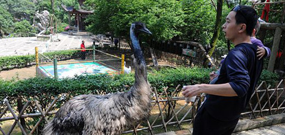 長沙鳥語林群鳥體檢合格 百鳥與市民&ldquo;共歡&rdquo;