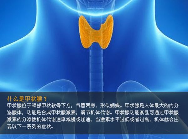 關(guān)注甲狀腺健康，你應(yīng)該知道的那些事