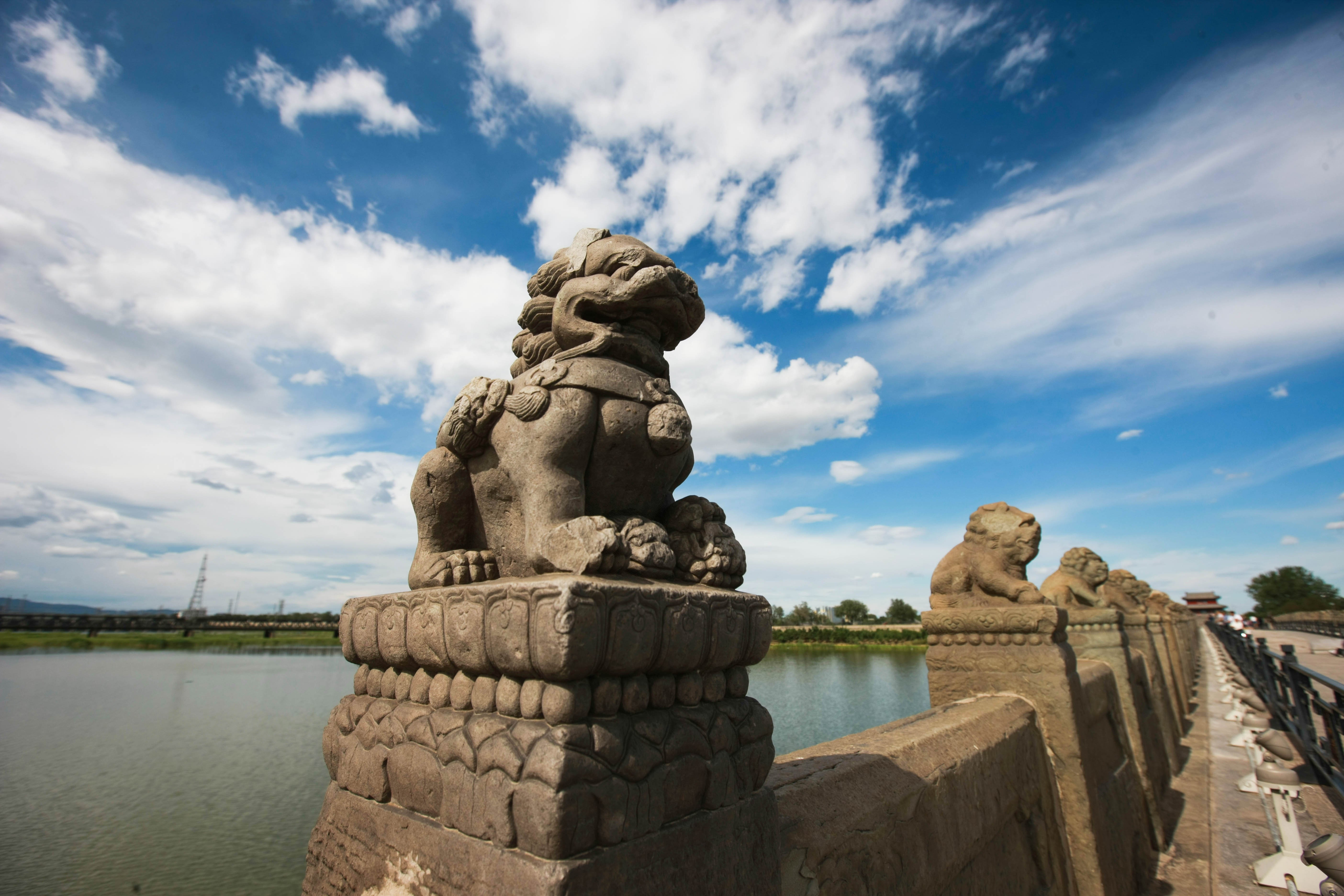 這些照片，來之不易