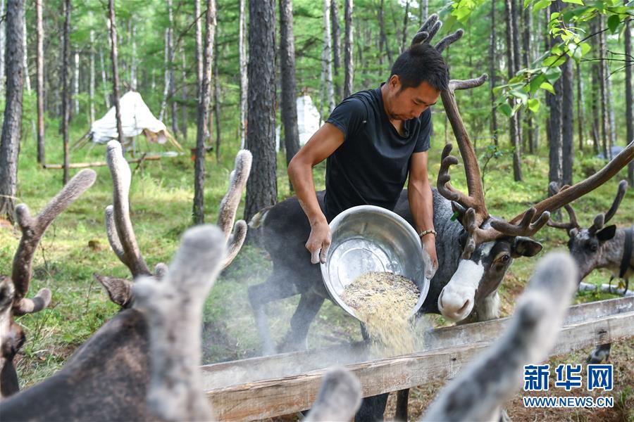 【聚焦脫貧攻堅】這組數(shù)字，來之不易