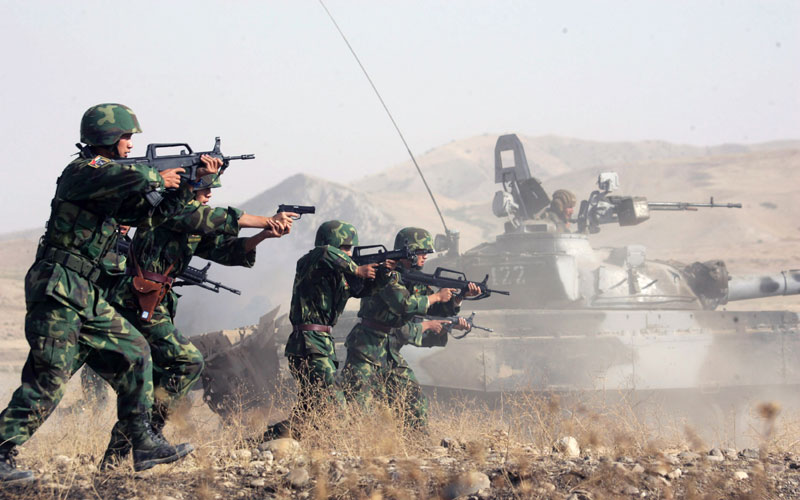 李翔作品：&ldquo;協(xié)作-2006&rdquo;中塔聯(lián)合反恐軍事演習