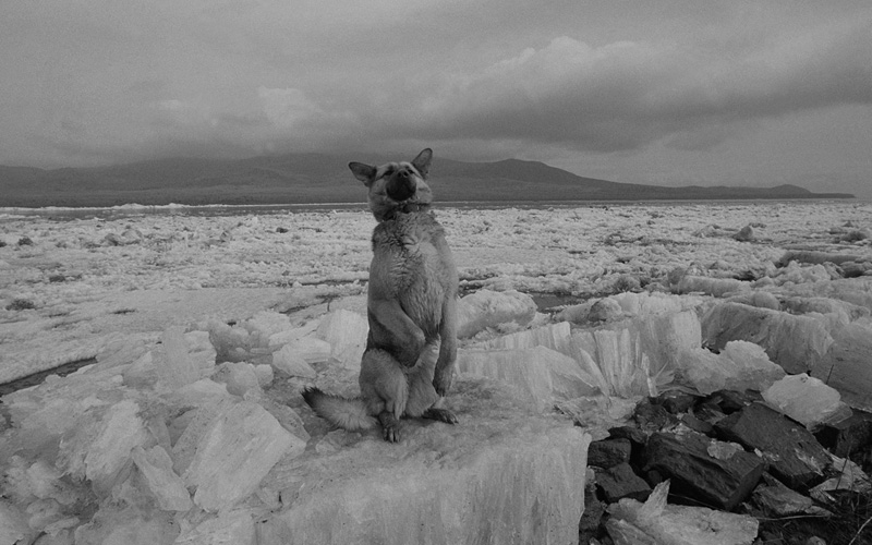 線云強(qiáng)作品:東方第一哨，最早迎接太陽的士兵