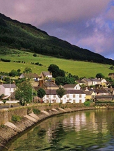 華人回國(guó)更方便！新西蘭將于11月廢除離境卡