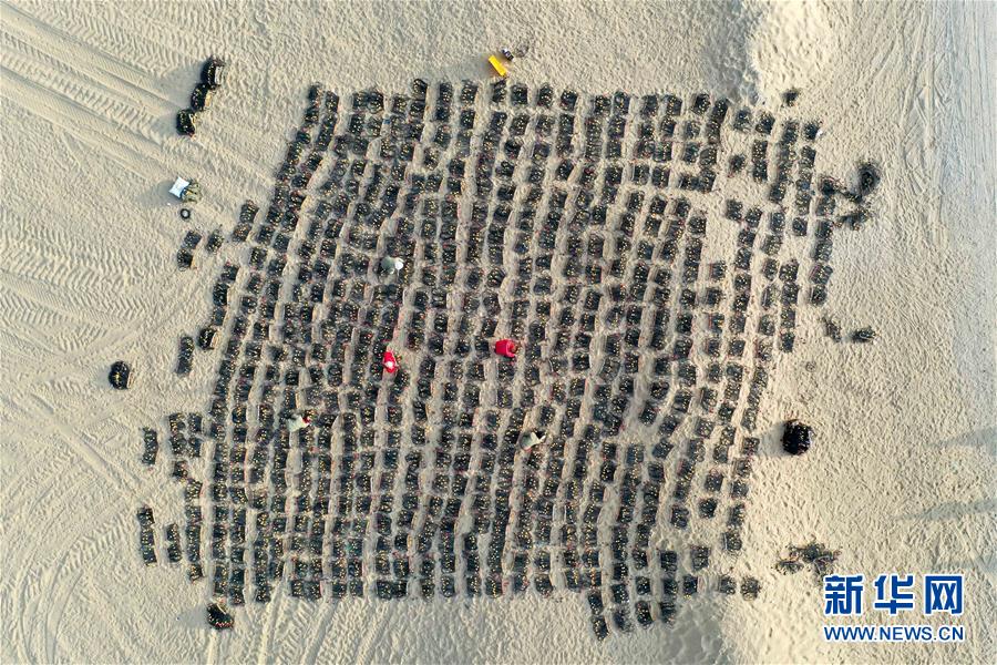 （新春走基層）（2）石油物探隊(duì)的&ldquo;女漢子&rdquo;