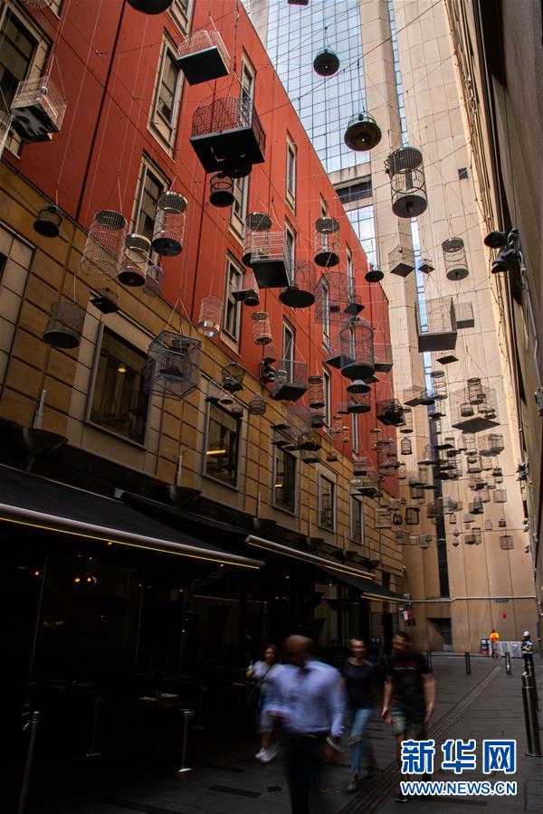 (國際)(2)尋找悉尼空中的旋律