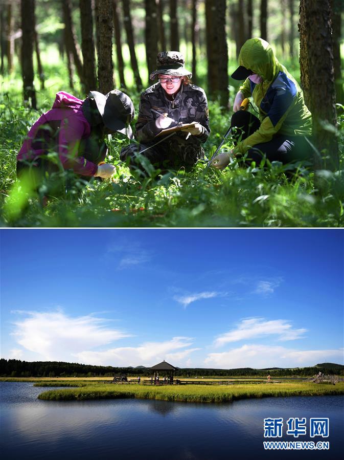 （十九大&middot;讀報(bào)告 話民生）（6）加快生態(tài)文明體制改革，建設(shè)美麗中國(guó)