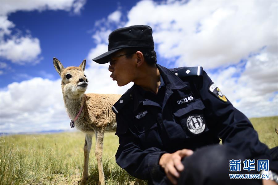 （十九大&middot;讀報(bào)告 話民生）（8）加快生態(tài)文明體制改革，建設(shè)美麗中國(guó)