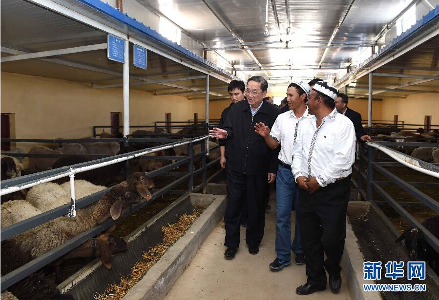 9月27日，中共中央政治局常委、全國政協(xié)主席、中央代表團(tuán)團(tuán)長俞正聲率中央代表團(tuán)部分成員赴喀什地區(qū)莎車縣看望各族干部群眾。這是俞正聲在新疆生產(chǎn)建設(shè)兵團(tuán)第三師莎車農(nóng)場實地察看萬只羊養(yǎng)殖基地。新華社記者 饒愛民 攝