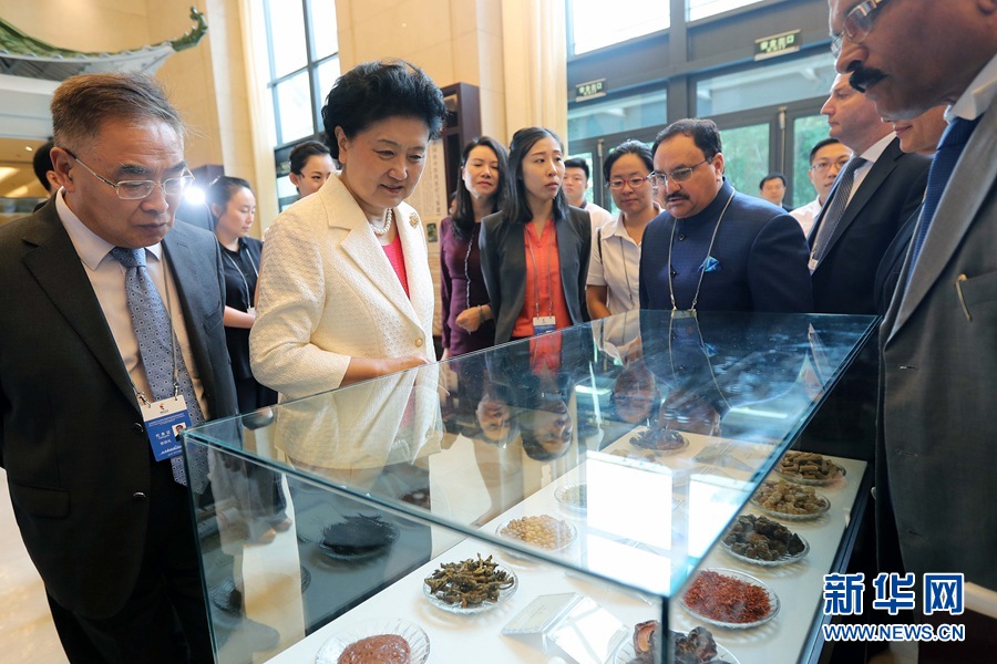 7月6日，金磚國家衛(wèi)生部長會(huì)暨傳統(tǒng)醫(yī)藥高級(jí)別會(huì)議在天津開幕。這是國務(wù)院副總理劉延?xùn)|與外賓一起參觀傳統(tǒng)醫(yī)藥文化展。 新華社記者 張玉薇 攝