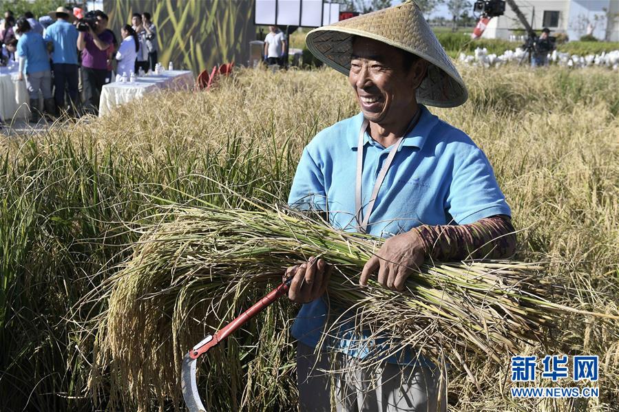 （新華全媒頭條&middot;圖文互動(dòng)）（2）歷史性飛躍的偉大實(shí)踐&mdash;&mdash;中國共產(chǎn)黨引領(lǐng)中國特色社會(huì)主義開辟發(fā)展新境界述評(píng)