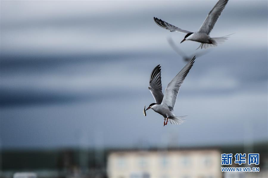 (圖文互動(dòng))(10)奏響新時(shí)代偉大復(fù)興的壯麗樂章——寫在“中國夢”提出五周年之際