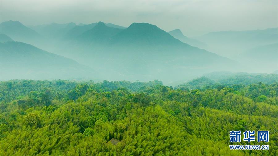 （新華全媒頭條&middot;圖文互動）（9）赤水：別了，貧困！