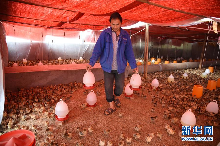 （新華全媒頭條&middot;圖文互動）（8）赤水：別了，貧困！