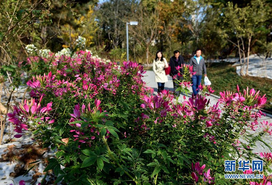 （圖文互動(dòng)）（1）藍(lán)天白云講述北京新時(shí)代新故事&mdash;&mdash;北京站上新時(shí)代發(fā)展新起點(diǎn)