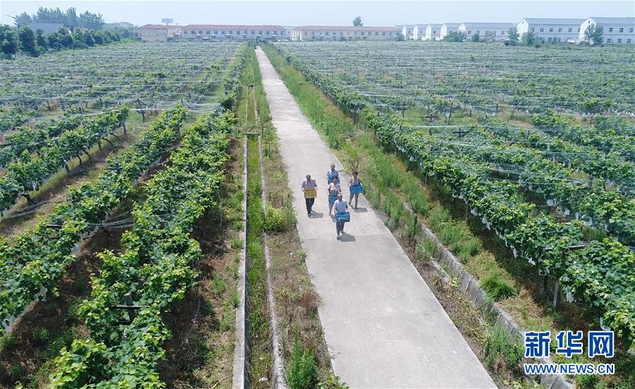 （新華全媒頭條&middot;紀念改革開放40年特稿&middot;圖文互動）（5）向著新航程揚帆奮進！&mdash;&mdash;從小崗精神看中國改革開放40年