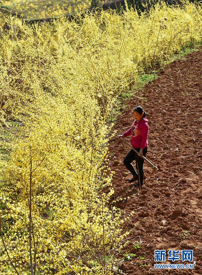 （新華全媒頭條&middot;習(xí)近平新時(shí)代中國特色社會(huì)主義思想在基層&middot;改革發(fā)展新氣象&middot;圖文互動(dòng)）（6）改革創(chuàng)新潮涌動(dòng) 激活發(fā)展新引擎