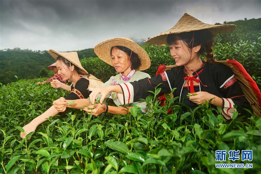 （新華全媒頭條&middot;潮起海之南&middot;圖文互動）（7）春潮拍岸千帆進&mdash;&mdash;海南特區(qū)改革開放30年紀實