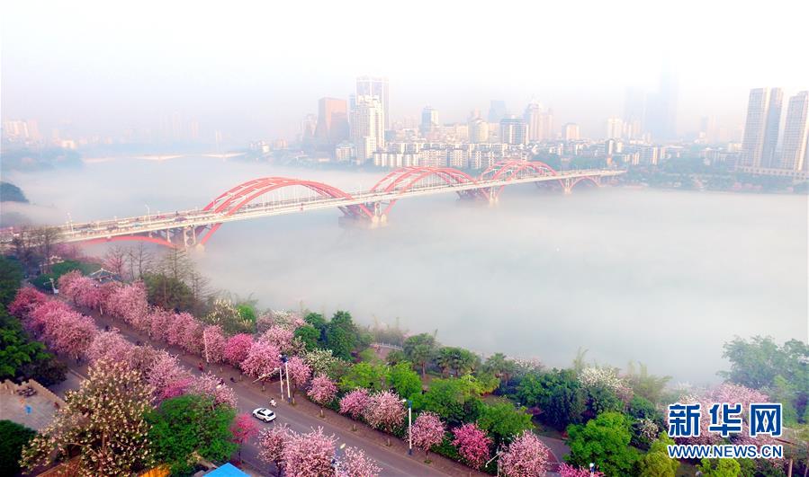 （鏡觀中國&middot;新華網(wǎng)）（7）新華社國內(nèi)照片一周精選