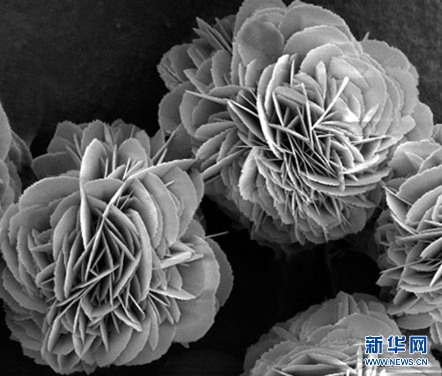 （新時代奮斗者&middot;圖文互動）（3）&ldquo;美麗發(fā)現(xiàn)&rdquo;之路&mdash;&mdash;記青年化學(xué)家戈鈞