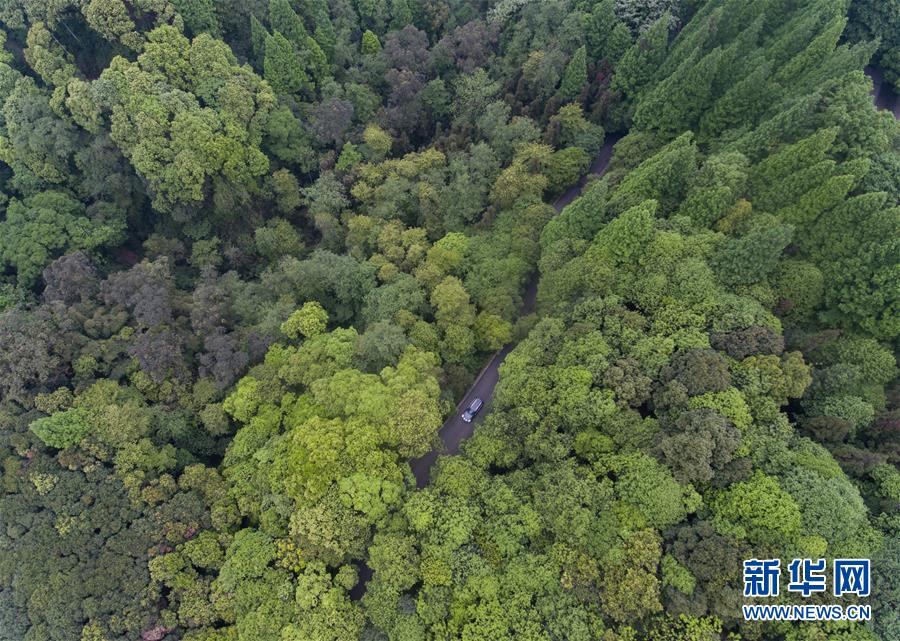 （天空之眼）（14）&ldquo;天空之眼&rdquo;瞰雅安