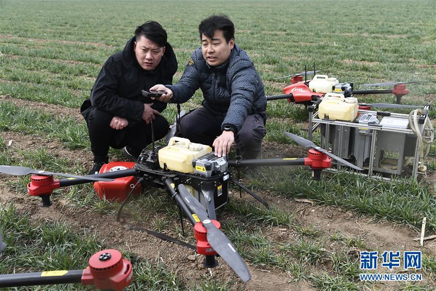 (新華全媒頭條·圖文互動(dòng))(2)希望田野上的職業(yè)農(nóng)民