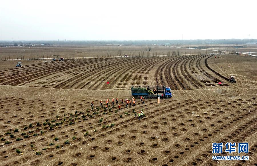 （新華全媒頭條&middot;圖文互動）（6）奮進新時代　建設(shè)雄安城&mdash;&mdash;以習(xí)近平同志為核心的黨中央謀劃指導(dǎo)《河北雄安新區(qū)規(guī)劃綱要》編制紀實